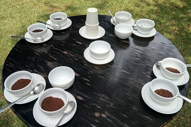 Coffee Farm Tour (Fairview) - On the farm: walking coffee rows from flowers to cherries