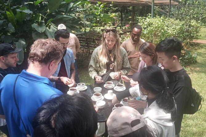 Coffee Farm Tour (Fairview) - Timing and group setup: private, English, and built for easy logistics