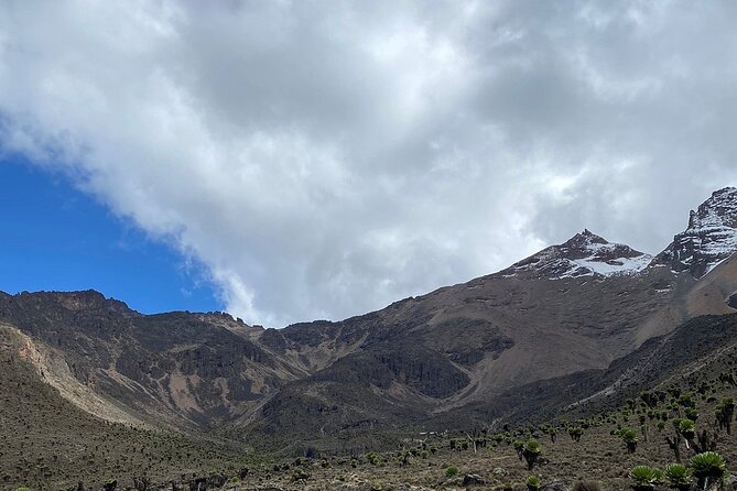 Conquer Mt Kenya in 4 Days Sirimon to Chogoria Route Adventure - Day 4: Meru Bandas to Chogoria, bamboo and rainforest all the way out