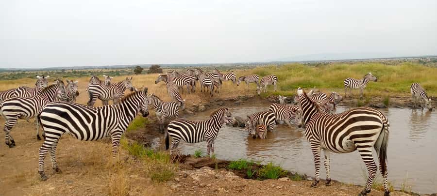 Crescent Island And Boat Ride Day Trip - From Nairobi To Lake Naivasha: The Scenic Two-Hour Ride