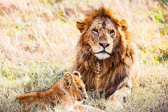 Daily departures 3 days masai mara by landcruiser - Price and what you should budget for, not just the sticker price