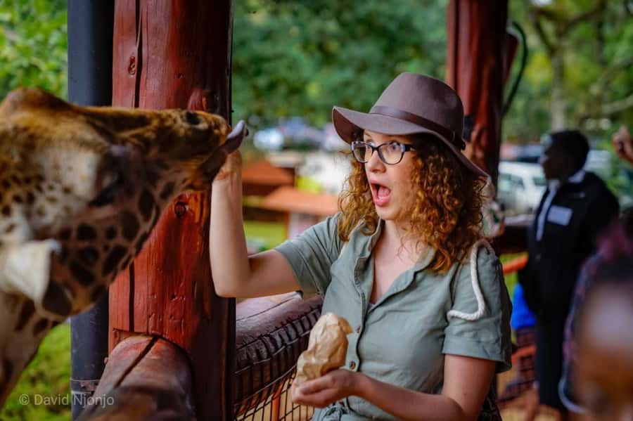 David Sheldrick Wildlife Trust & Giraffe Center with Lunch - Key highlights you should care about
