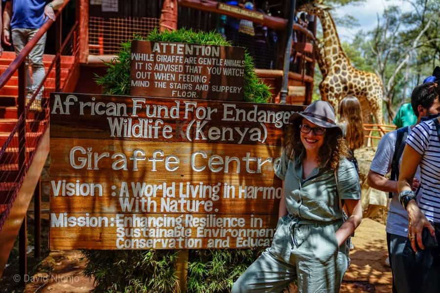 David Sheldrick Wildlife Trust & Giraffe Center with Lunch - Elephant orphanage time: clear views of rescued baby elephants