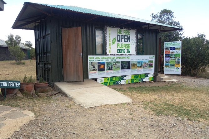 Day safari to Olpejeta Rhino conservancy - Chimpanzee sanctuary: up close with behavior, not just looks