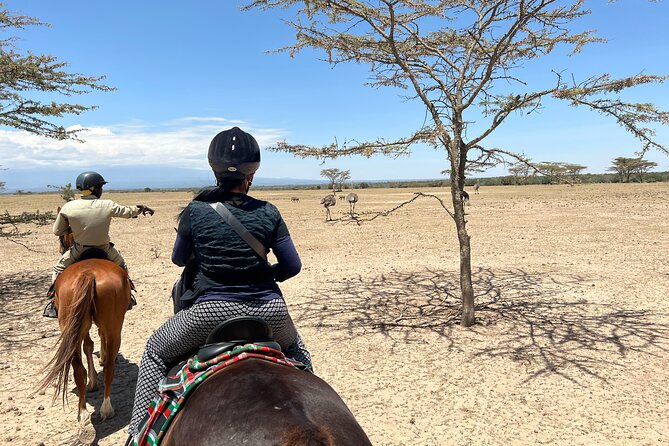 Day safari to Olpejeta Rhino conservancy - Lunch time at Ol Pejeta: a break that prevents wildlife burnout