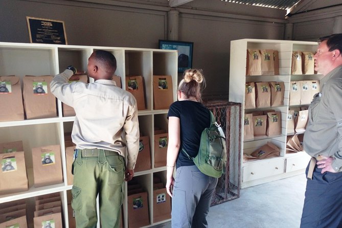 Day safari to Olpejeta Rhino conservancy - Private transport from Nairobi: comfort and control for a long day
