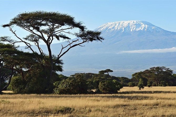 Day Tour - Amboseli National Park From Nairobi - Riding in an Open-Roof Safari Van