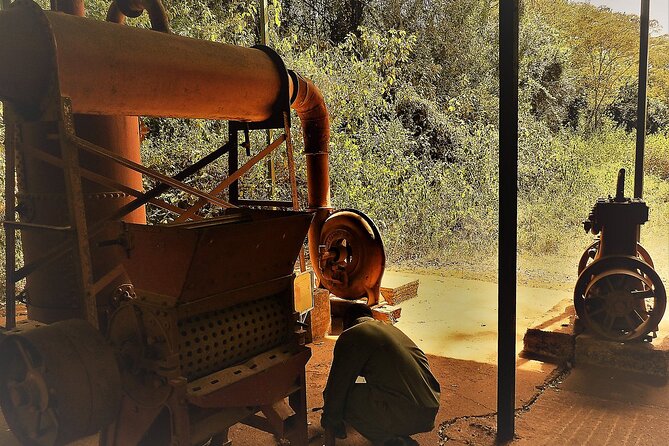 Day Tour Giraffe Center, Karen blixen and Lunch at Carnivore - Who should book this Nairobi day trip