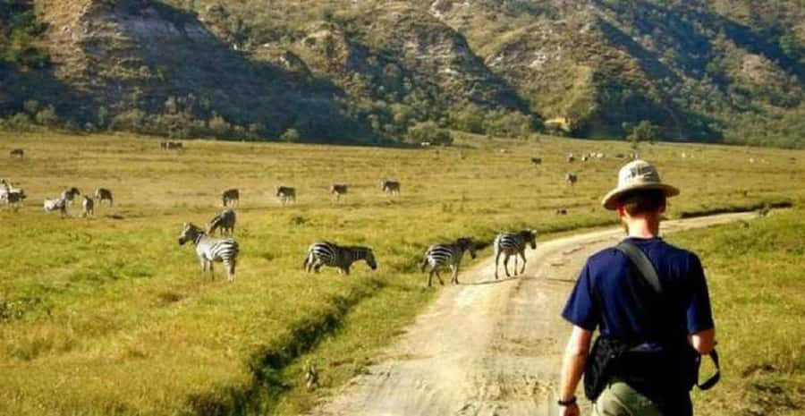 Day tour Hells gate and lake Naivasha from Nairobi - Guided hike and wildlife viewing in the park