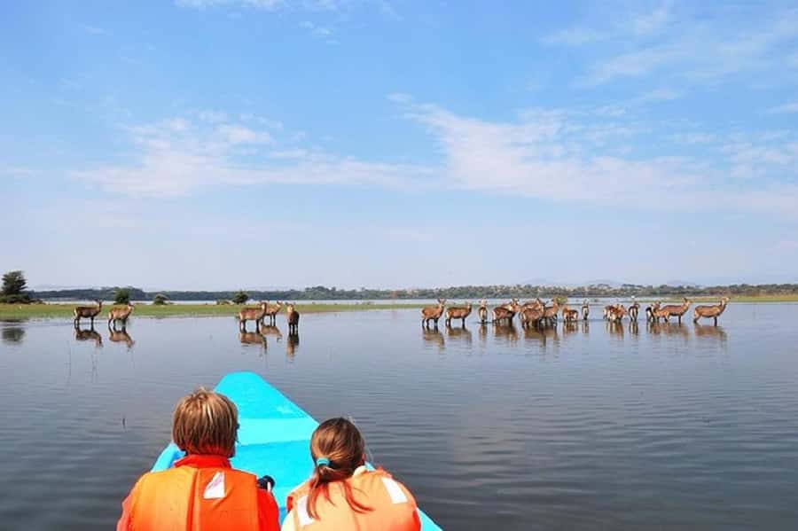Day tour Hells gate and lake Naivasha from Nairobi - Guide quality: what to expect from the human side