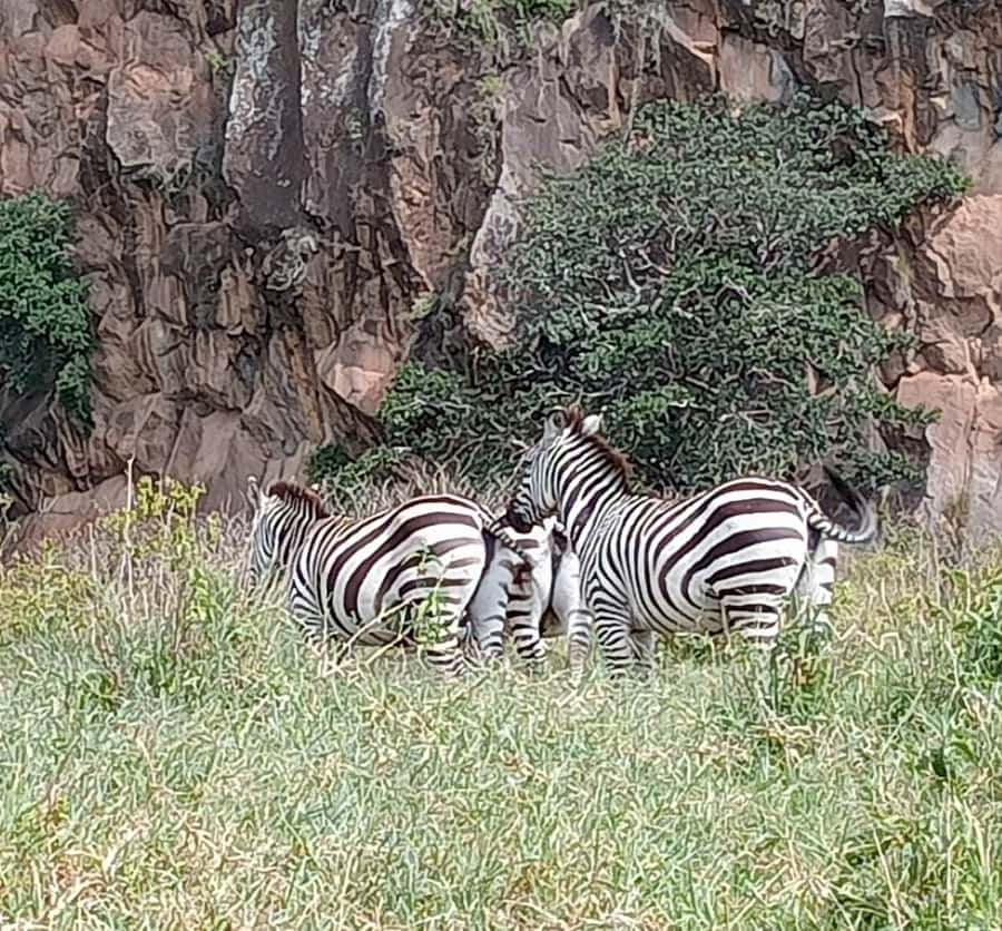 DAY TOUR- LAKE NAIVASHA AND HELL'S GATE PARK-WITH PARK FEES - The Guide Factor: Viktor, Jimmy, and How the Day Feels Smarter