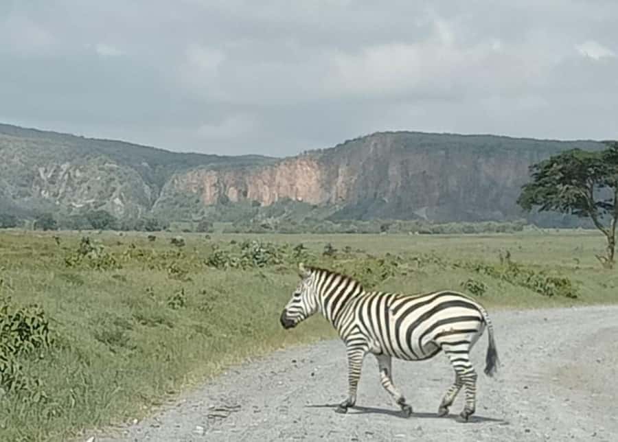 DAY TOUR- LAKE NAIVASHA AND HELL'S GATE PARK-WITH PARK FEES - Entering Hell’s Gate: Two Hours of Biking Safari