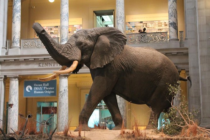 Day Tour Nairobi Museum, Giraffe Centre & Nairobi National Park - Lunch on Your Own, Then Straight to Nairobi National Park