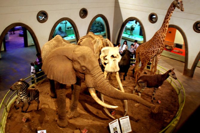 Day Tour Nairobi Museum, Giraffe Centre & Nairobi National Park - Price and Value: What $301.30 Buys You in One Day