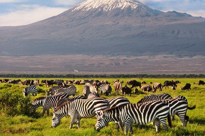 Day Tour Nairobi National Park - How Much Is $390, and When This Day Trip Feels Worth It