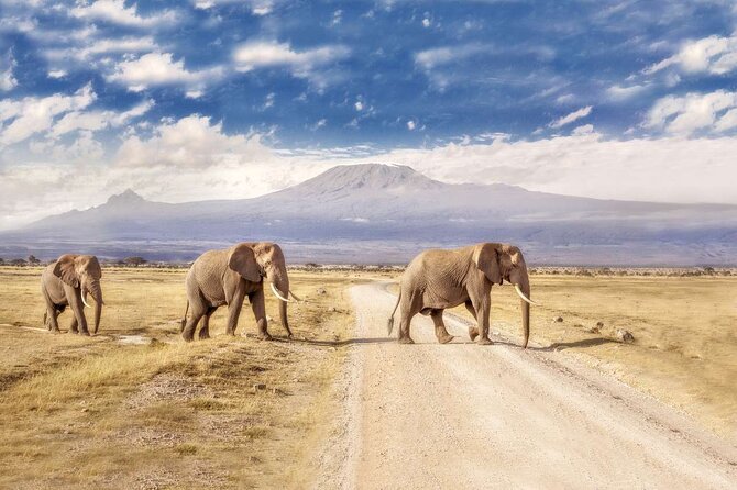 Day Tour to Amboseli National Park - Key things I’d circle before you book
