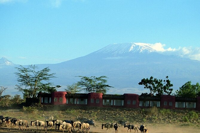 Day Tour to Amboseli National Park - Morning game drive: elephants, big cats, and the Kilimanjaro backdrop