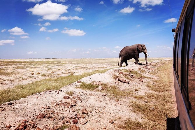 Day Tour to Amboseli National Park - Observation Hill: a short walk for big views