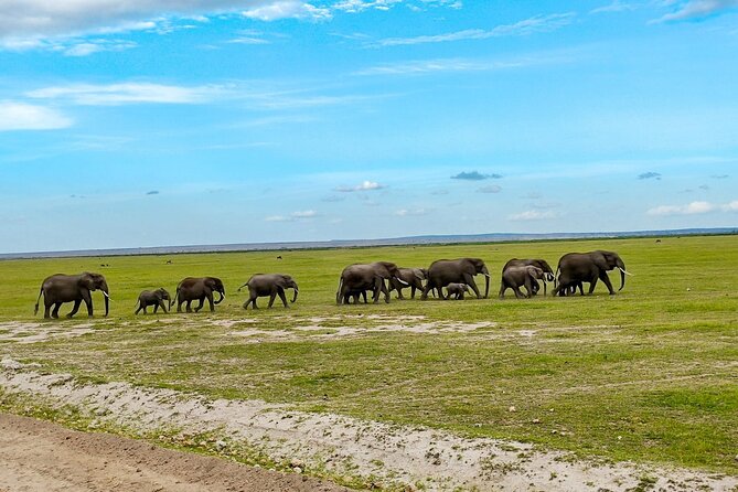 Day Tour To Amboseli National Park From Nairobi - The Drive From Nairobi: Sunrise Time and What You Give Up