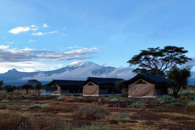 Day Tour To Amboseli National Park From Nairobi - Price and Value: What $160 Covers and What Costs Extra