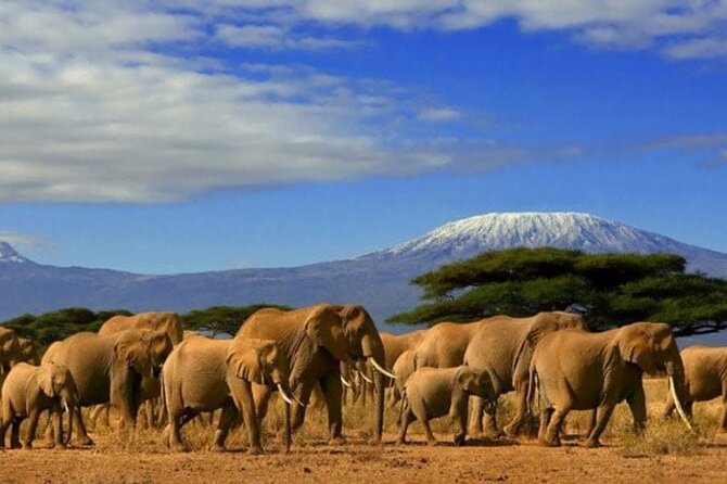 Kenya