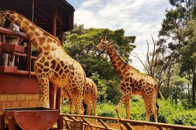 Day tour to Giraffe Center and Karen Blixen Museum - Kazuri Beads / KOBE Tough Beads factory: watch women turn clay into jewelry