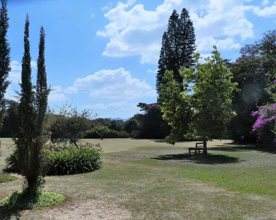 Day Tour to Giraffe Center and Karen Blixen Museum - Timing and route feel: how to enjoy a tight 4-hour schedule