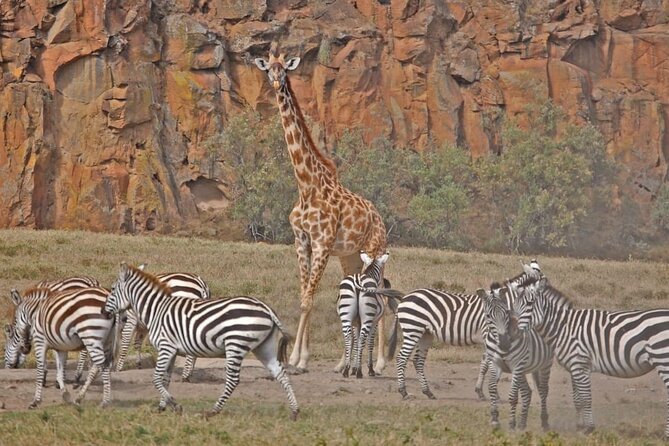 Day tour to Hells Gate, Lake Naivasha and Crescent Island Walk - The Guide Factor Inside the Park