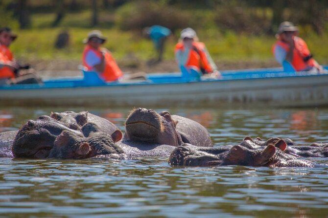 Day tour to Hells Gate, Lake Naivasha and Crescent Island Walk - Timing the Day: Lunch at Naivasha Marina Camp (Own Expense)
