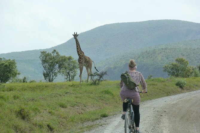 Day tour to Hells Gate, Lake Naivasha and Crescent Island Walk - Lake Naivasha Boat Ride: Birds With a Real Captain and Hippo Chances