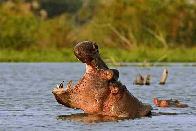Day tour to Hells Gate, Lake Naivasha and Crescent Island Walk - Crescent Island Walk: Your Closest Wildlife Moment