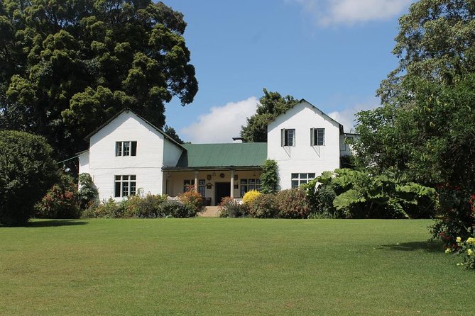 Day Tour To Kiambethu Tea Farm in Limuru - From Nairobi to Limuru: how the drive shapes the day