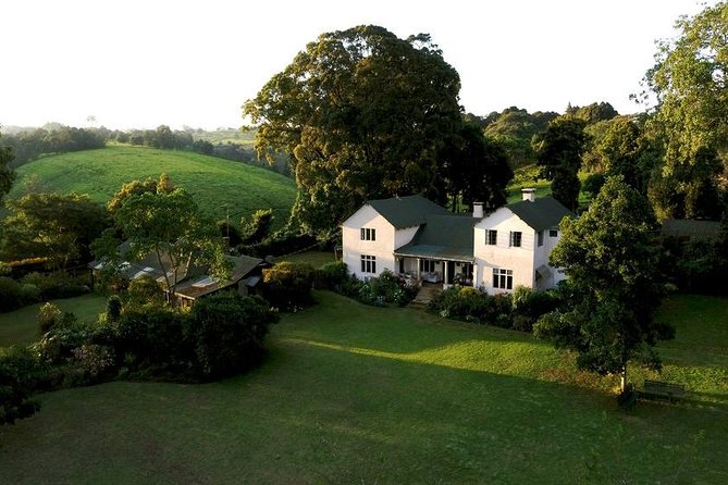 Day Tour To Kiambethu Tea Farm in Limuru - Should you book Kiambethu? My take