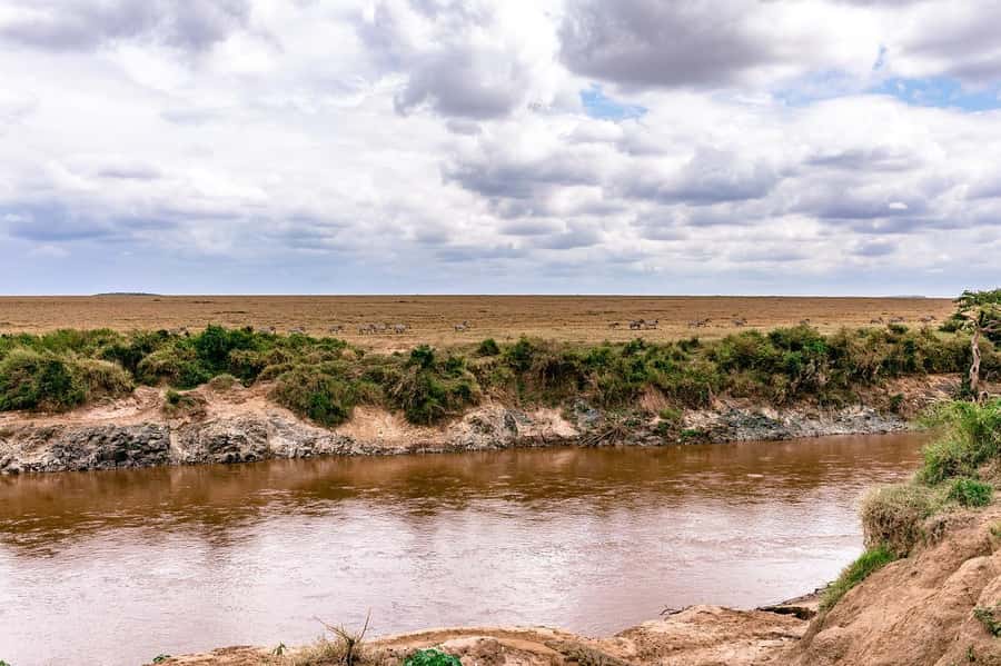 Day Tour to Maasai Mara & optional Maasai village visit - The first big decision: how much you want to see, and how early
