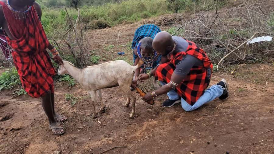 Day Tour to Masai Village From Nairobi - Price and value: what the $73 gets you, and what costs extra