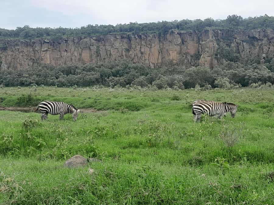 Day tour to Mount Longonot - Mount Longonot Day Trip From Nairobi: Why This Crater Hike Works