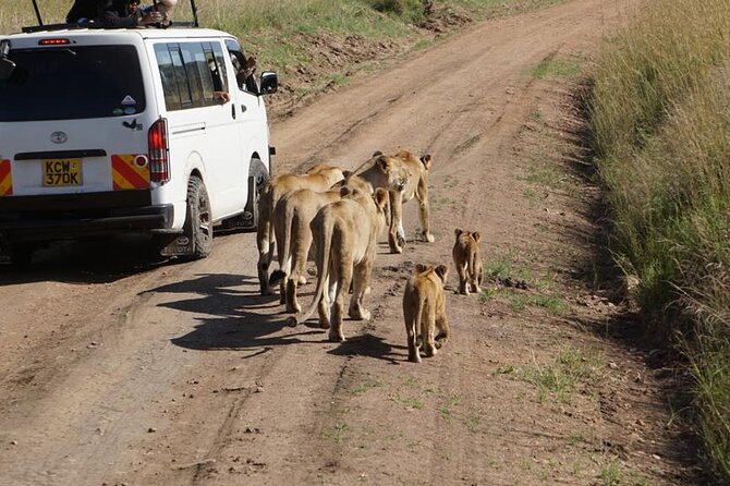 Day Tour to Nairobi National Park and Giraffe Center - Giraffe Centre: Rothschild giraffe conservation in plain language