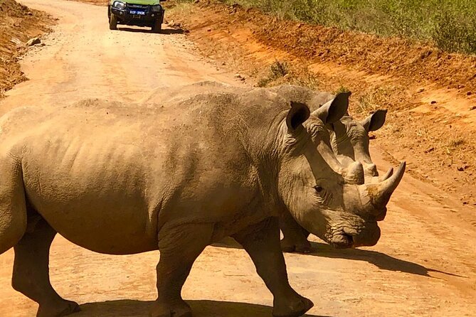 Day Tour to Nairobi National Park and Giraffe Center - Timing and logistics: how a 9-hour day actually feels
