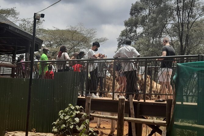 Day Tour to Nairobi national park, Elephants, and Giraffe Center - Nairobi National Park safari drive: lions, leopards, and buffalo