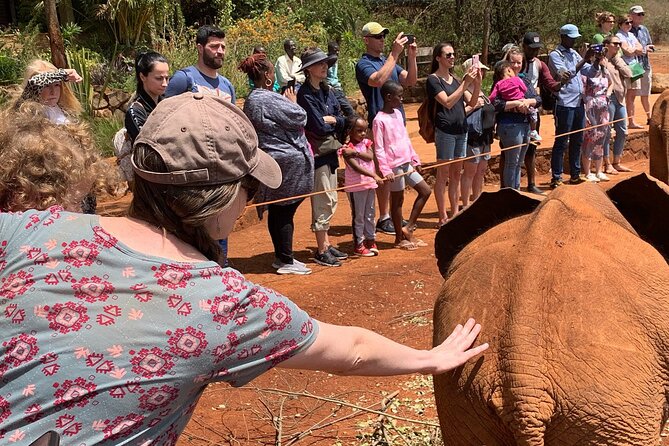 Day Tour to Nairobi national park, Elephants, and Giraffe Center - Price and value: the $52 ticket versus the full day cost