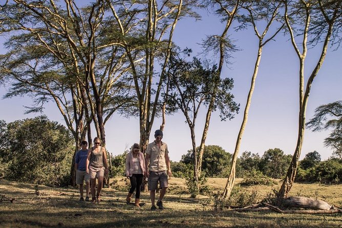 Day Tour to Ol Pejeta Conservancy - Afternoon game drive on the eastern side and the Baraka rhino moment