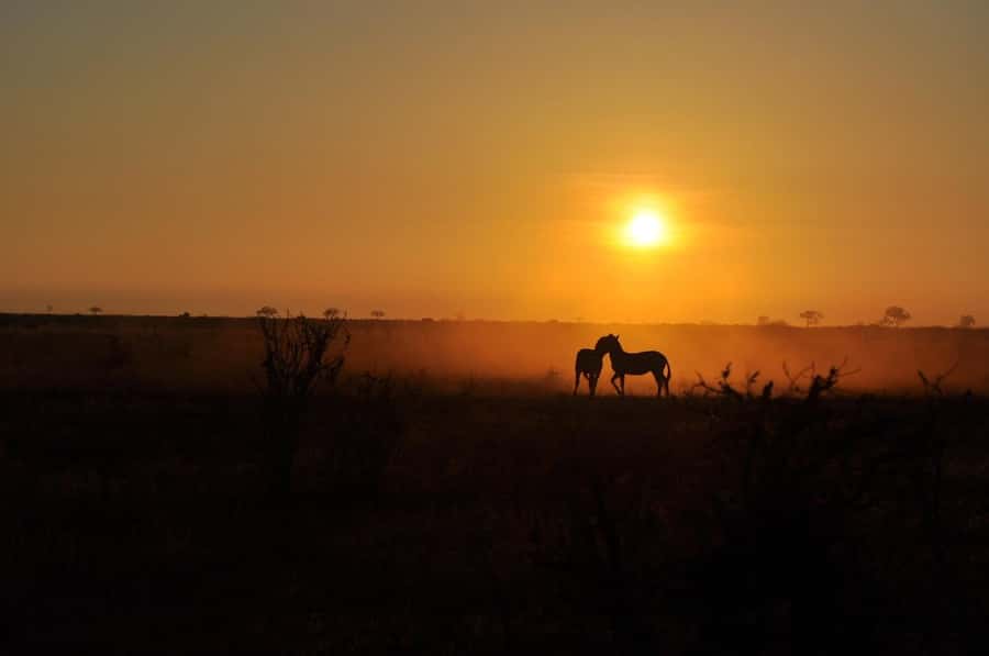 DAY TOUR TO TSAVO EAST NATIONAL PARK FROM MOMBASA/DIANI - Second Game Drive in Kenya’s Largest National Park Feel
