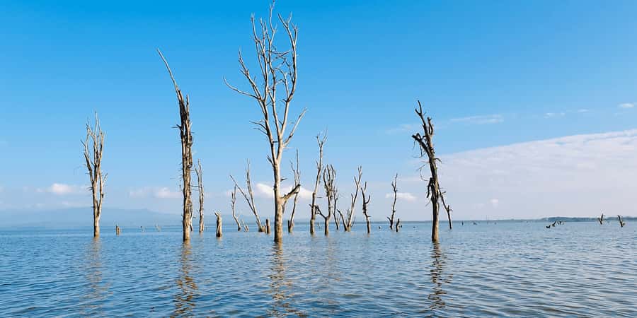 Day Trip: Hell's Gate Bike Ride & Lake Naivasha Boat Ride - Hell’s Gate Gorge walk, steam vents, towers, and that cinematic rock energy