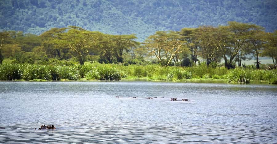 Day Trip: Hell's Gate Bike Ride & Lake Naivasha Boat Ride - Choosing the right pace, cycling fit and the option to switch gears