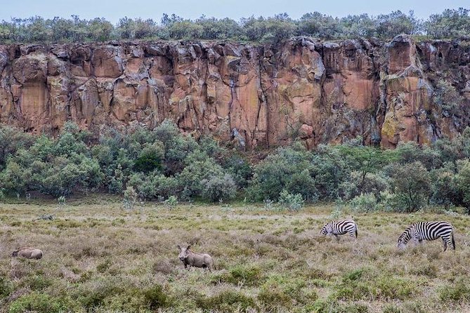 Day Trip -Hells Gate & Lake Naivasha With Boat Ride From Nairobi - Elsamere Conservation Centre: Joy and George Adamson’s legacy in action