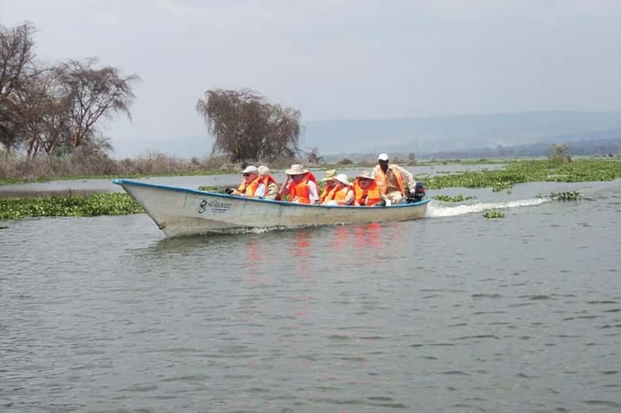 Day trip lake Naivasha and Hells gate - Picnic Lunch in the Park: The Perfect Middle Break
