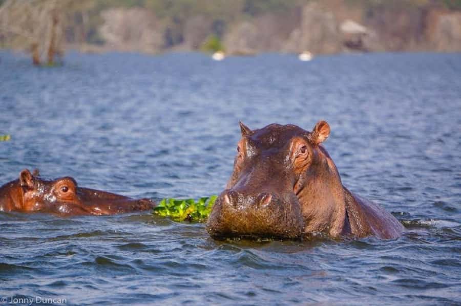 Day trip lake Naivasha and Hells gate - Guide Quality and the Small Details That Matter