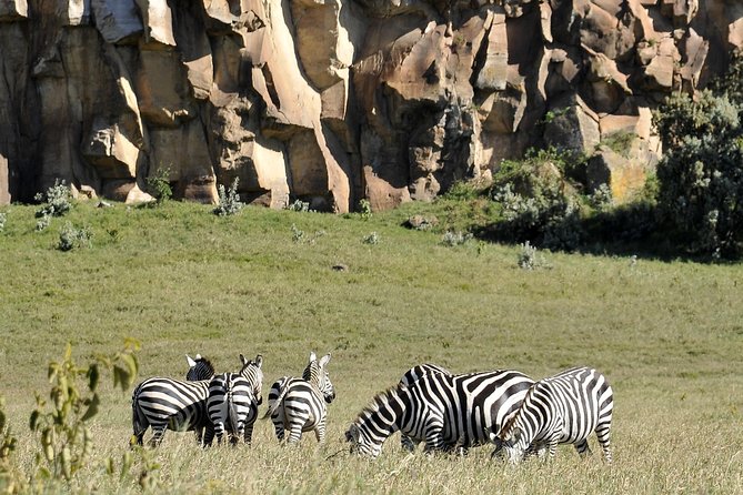 Day Trip To Crescent Island And Hells Gate National Park - Should you book the Crescent Island and Hell’s Gate day trip?