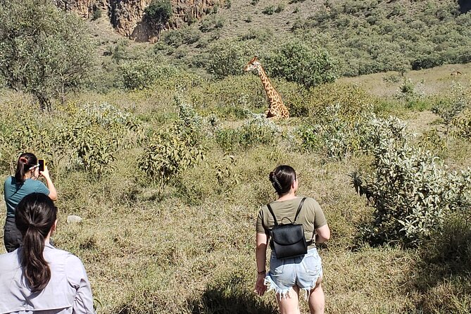 Day trip to Hells Gate National Park with boat ride on Lake Naivasha - Volcanic plugs, the gorge, and hot spring scenery you can actually see