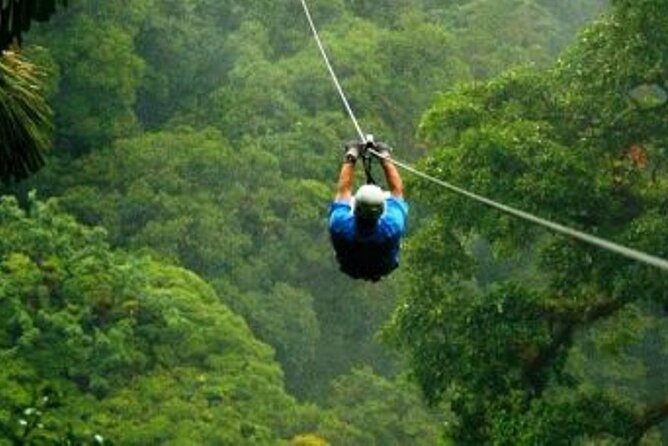 Day Trip to Kereita Forest and Ziplining - Entering Kereita Forest: what kind of day this really is